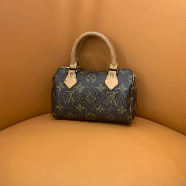 Louis Vuitton Speedy nano