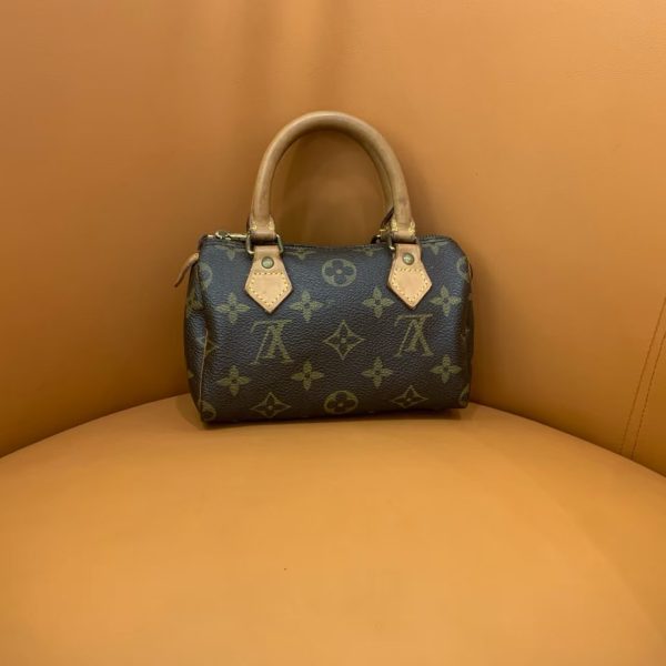 Louis Vuitton Speedy nano