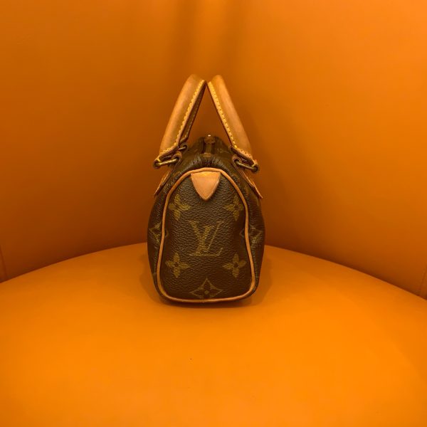 Louis Vuitton Speedy nano