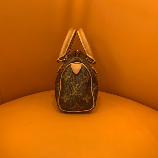 Louis Vuitton Speedy nano